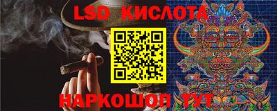 spice Краснодар