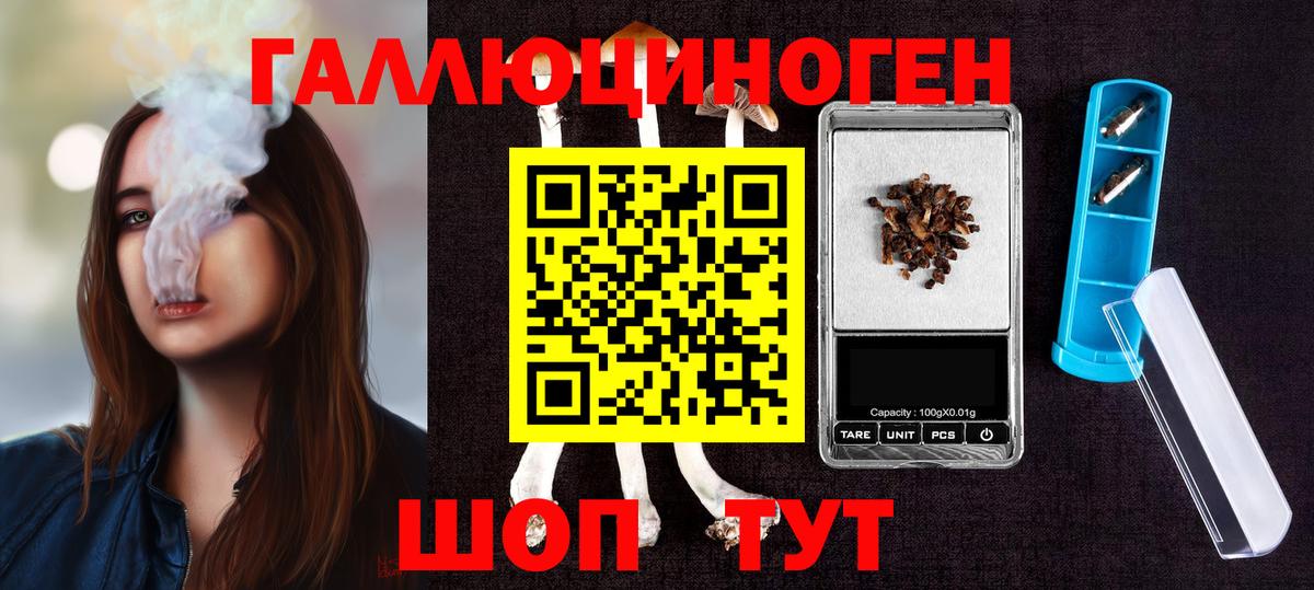 Псилоцибиновые грибы Psilocybe Учалы